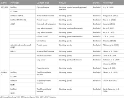 Targeting SHMTs and MTHFDs in cancer: attractive opportunity for anti-tumor strategy